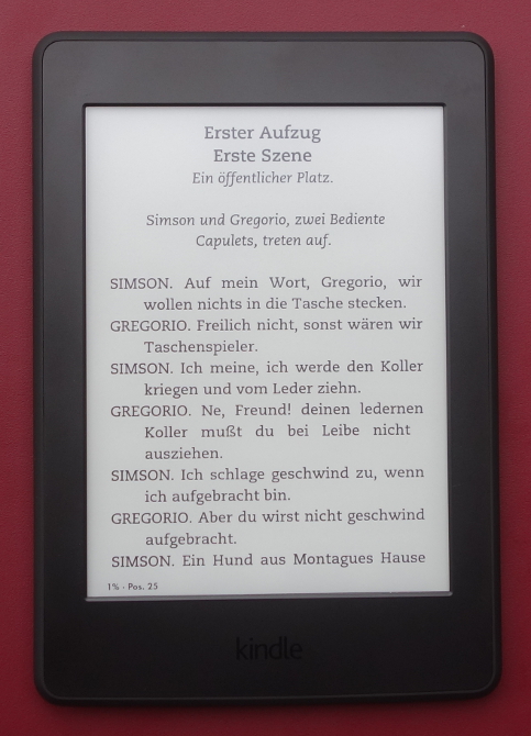 Lohnt Es Sich Einen E Book Reader Zu Kaufen